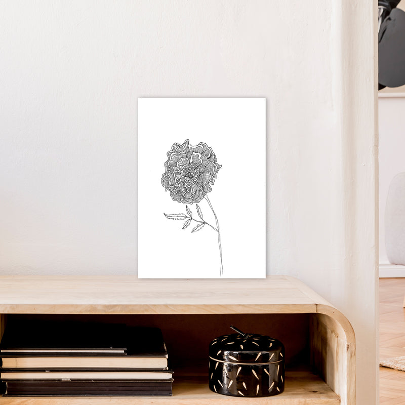 Marigold Art Print by Carissa Tanton A3 Black Frame