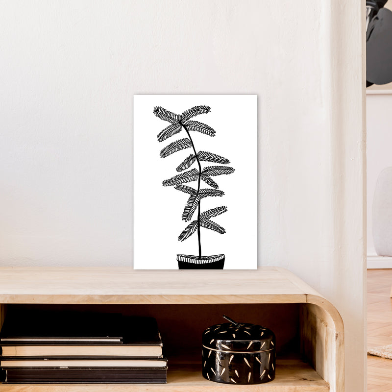 Mimosa Art Print by Carissa Tanton A3 Black Frame