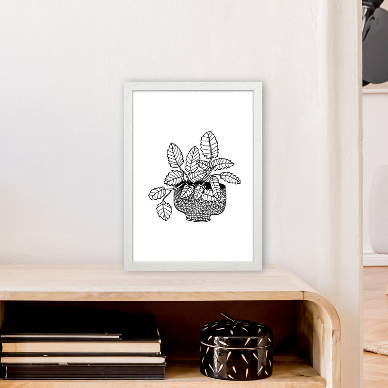 Peppermint Art Print by Carissa Tanton A3 Oak Frame