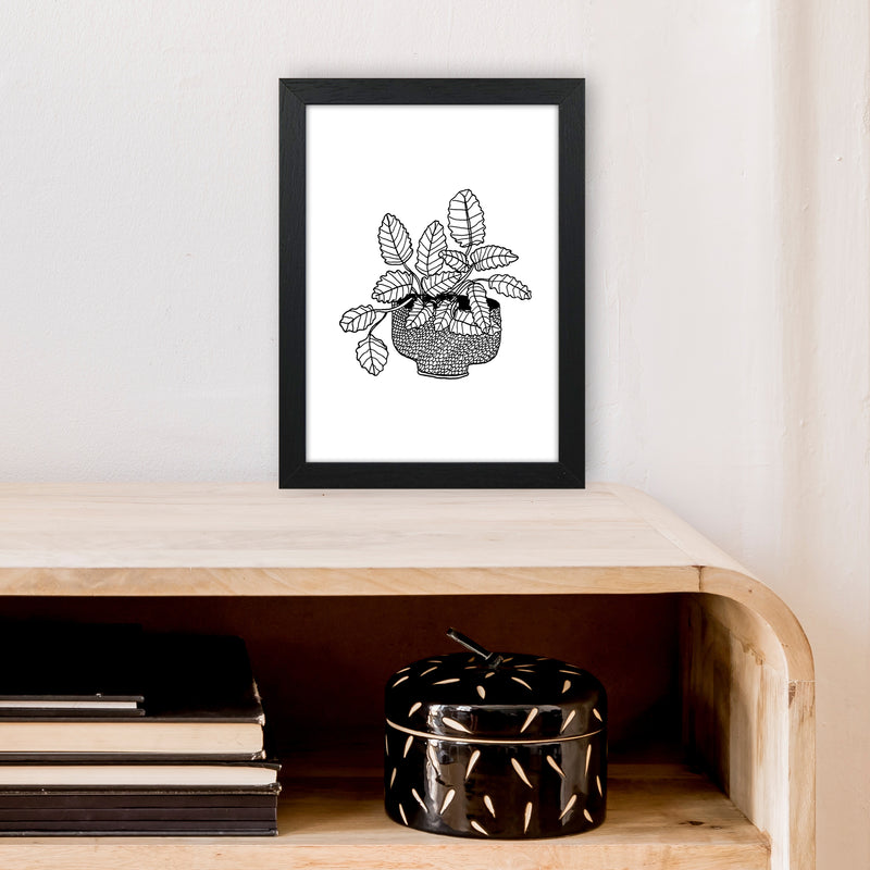 Peppermint Art Print by Carissa Tanton A4 White Frame