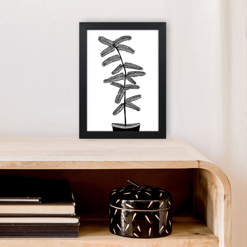Mimosa Art Print by Carissa Tanton A4 White Frame