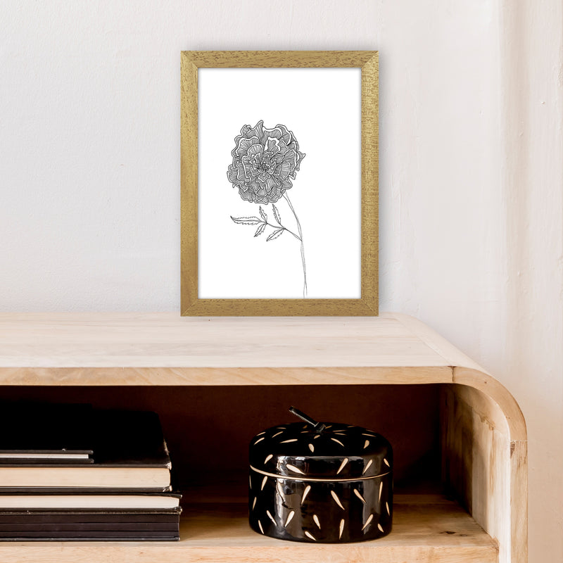 Marigold Art Print by Carissa Tanton A4 Print Only