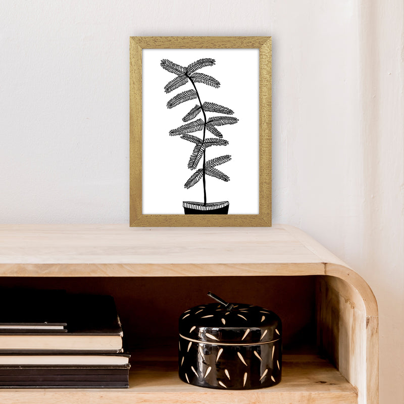 Mimosa Art Print by Carissa Tanton A4 Print Only