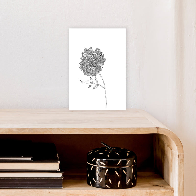 Marigold Art Print by Carissa Tanton A4 Black Frame