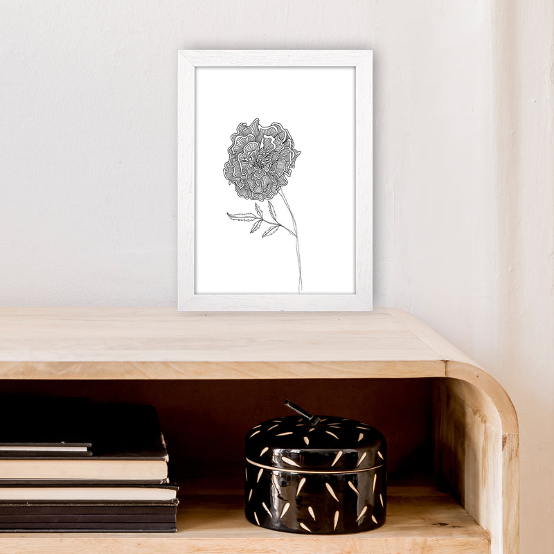 Marigold Art Print by Carissa Tanton A4 Oak Frame