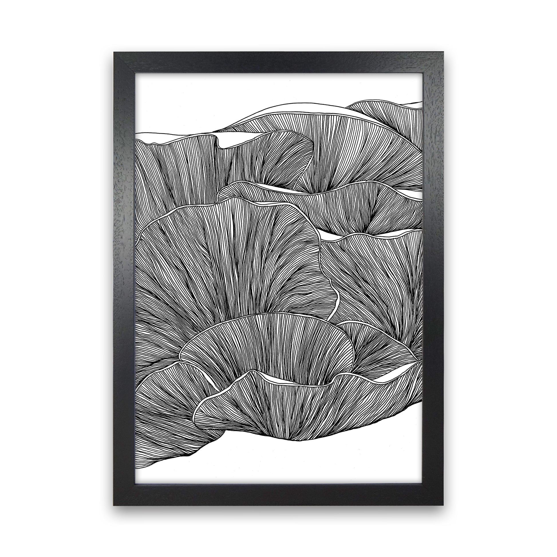 Oyster Mushrooms BW Art Print by Carissa Tanton Black Grain