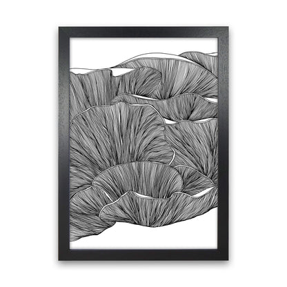 Oyster Mushrooms BW Art Print by Carissa Tanton Black Grain