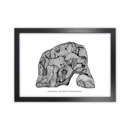 Font Elephant Art Print by Carissa Tanton Black Grain