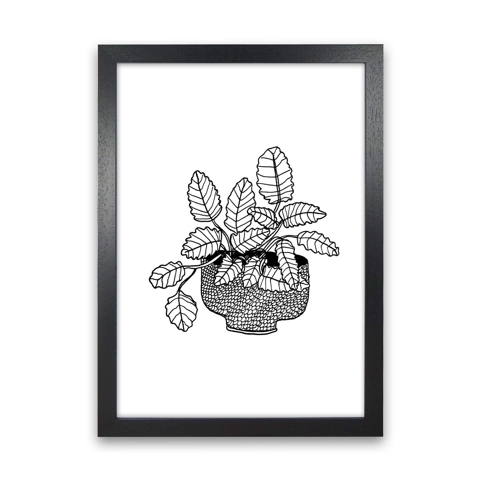 Peppermint Art Print by Carissa Tanton Black Grain