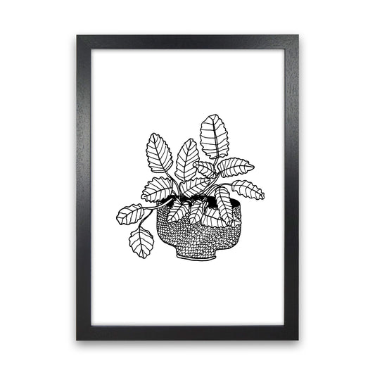 Peppermint Art Print by Carissa Tanton Black Grain