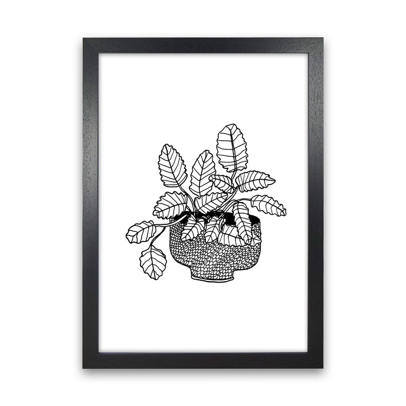 Peppermint Art Print by Carissa Tanton Black Grain