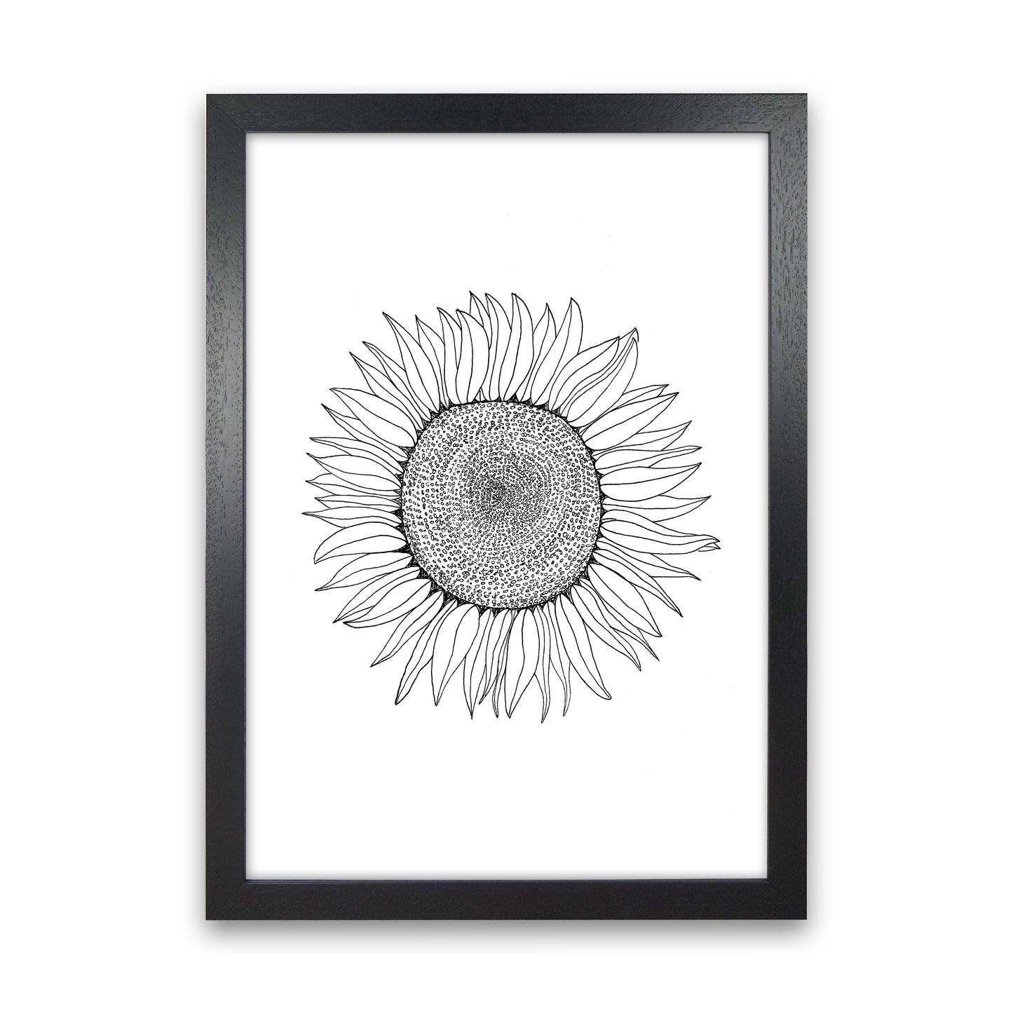 Sunflower Art Print by Carissa Tanton Black Grain