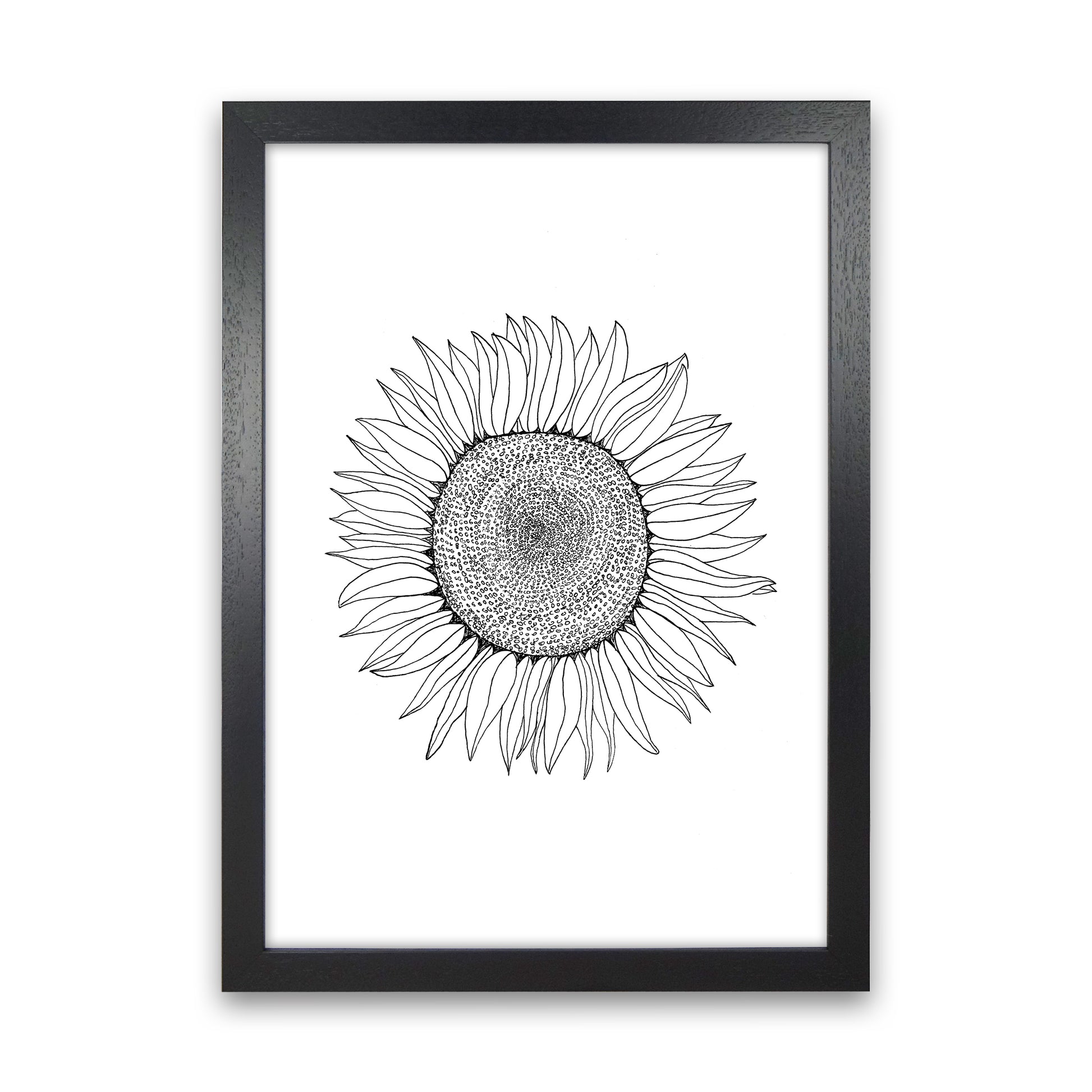 Sunflower Art Print by Carissa Tanton Black Grain