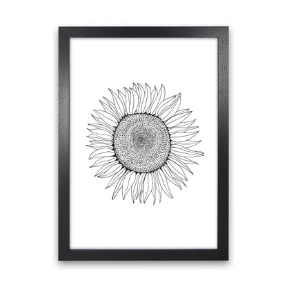 Sunflower Art Print by Carissa Tanton Black Grain