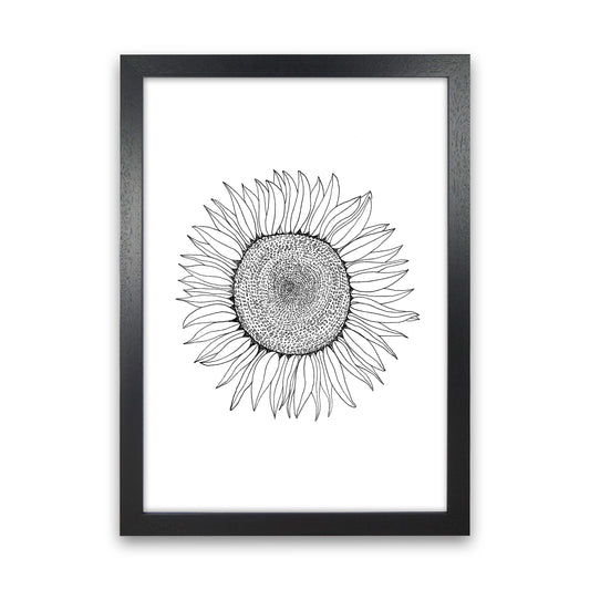 Sunflower Art Print by Carissa Tanton Black Grain
