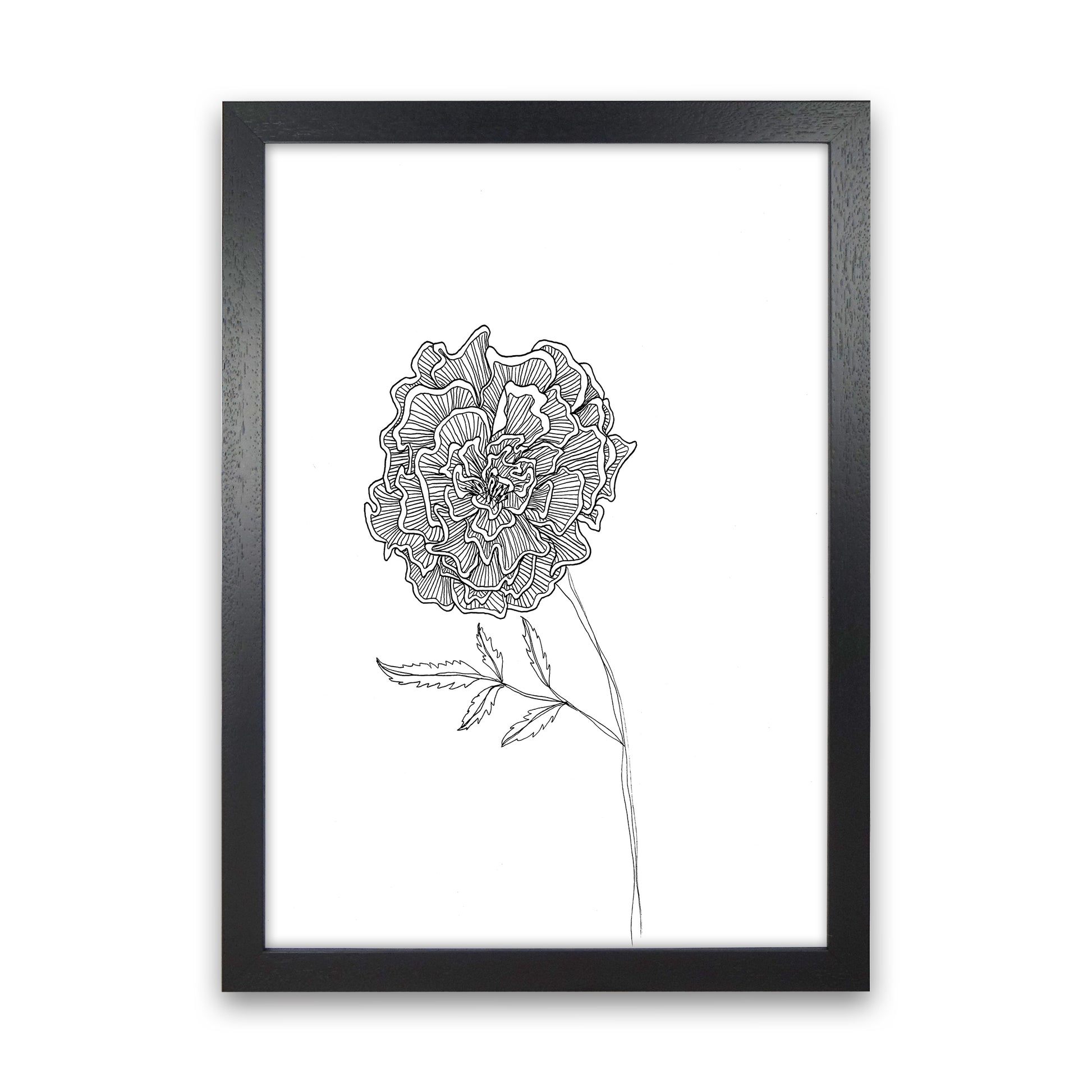 Marigold Art Print by Carissa Tanton Black Grain
