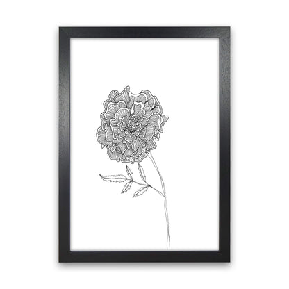 Marigold Art Print by Carissa Tanton Black Grain