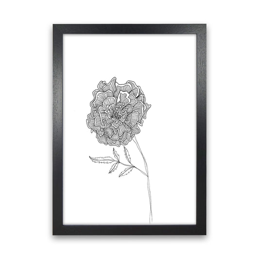 Marigold Art Print by Carissa Tanton Black Grain