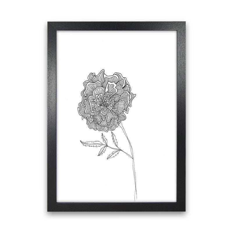 Marigold Art Print by Carissa Tanton Black Grain