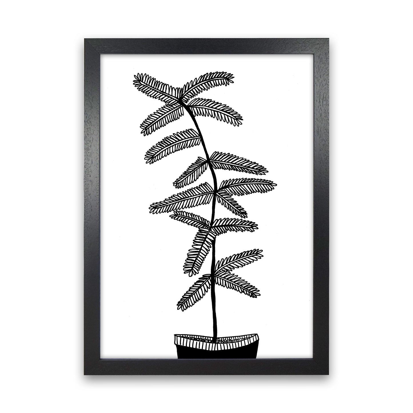 Mimosa Art Print by Carissa Tanton Black Grain