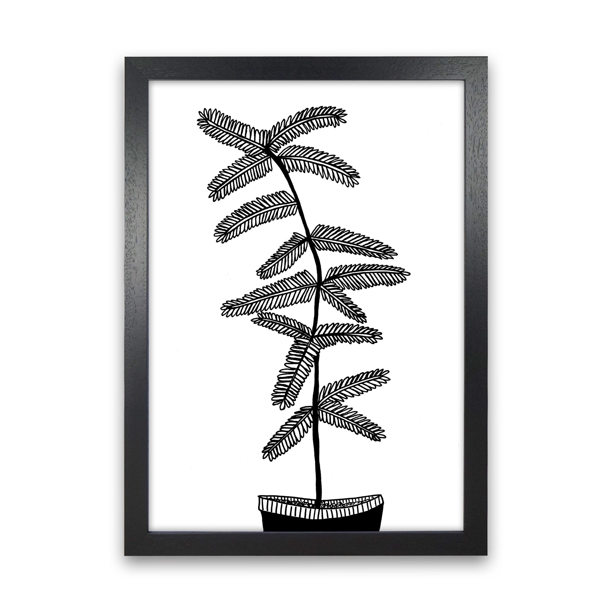 Mimosa Art Print by Carissa Tanton Black Grain
