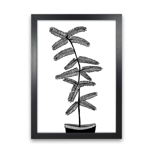 Mimosa Art Print by Carissa Tanton Black Grain