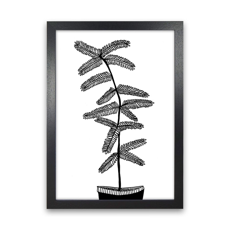 Mimosa Art Print by Carissa Tanton Black Grain