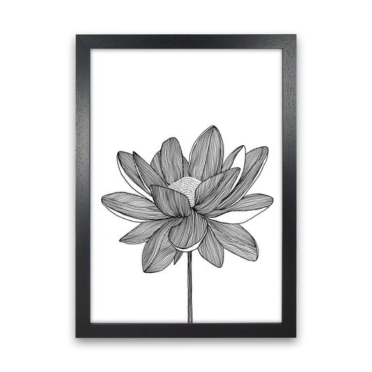 Lotus Art Print by Carissa Tanton Black Grain