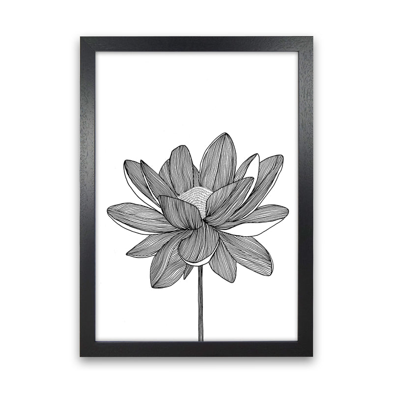 Lotus Art Print by Carissa Tanton Black Grain