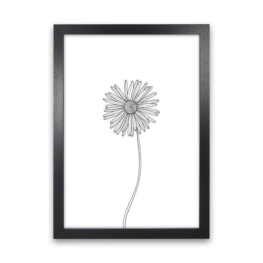 Daisy Art Print by Carissa Tanton Black Grain