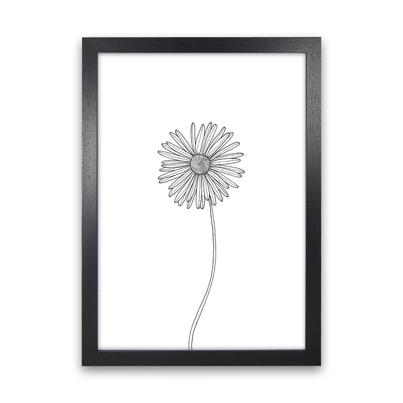 Daisy Art Print by Carissa Tanton Black Grain