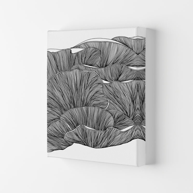 Oyster Mushrooms BW Art Print by Carissa Tanton Canvas