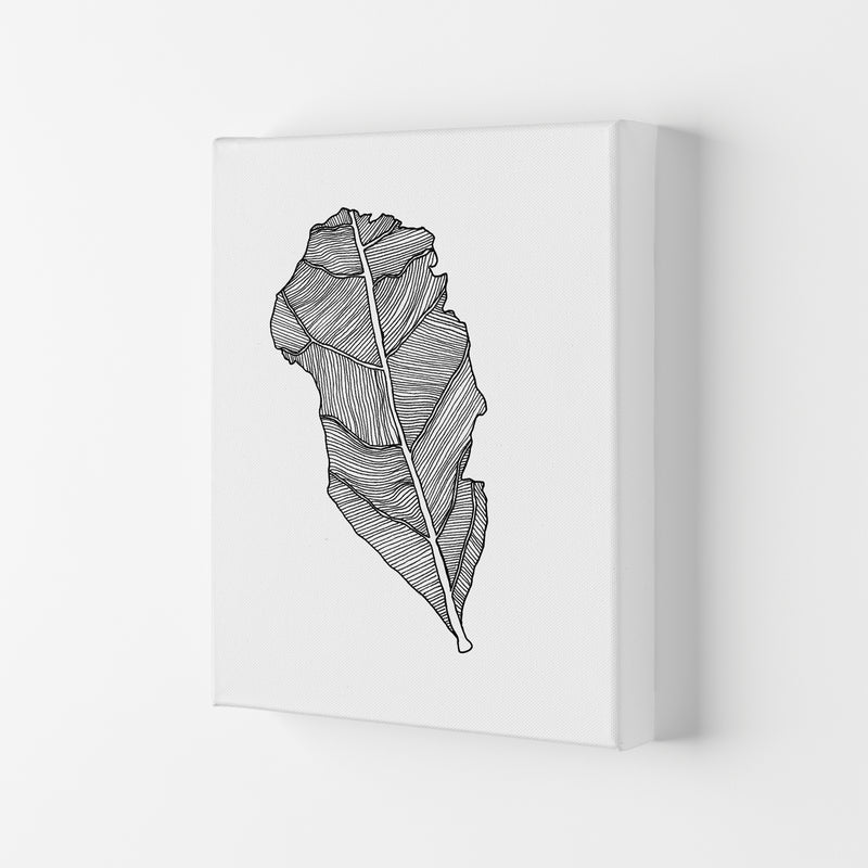Kyobancha Leaf Art Print by Carissa Tanton Canvas