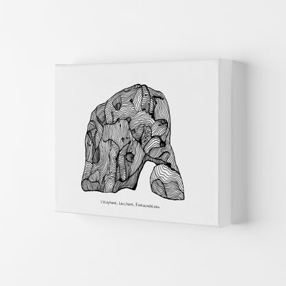 Font Elephant Art Print by Carissa Tanton Canvas