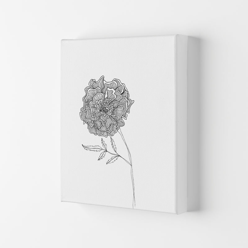 Marigold Art Print by Carissa Tanton Canvas