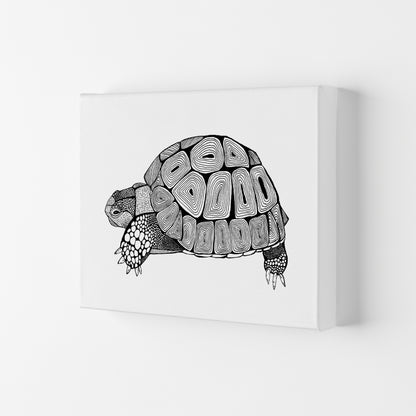 Tortoise Art Print by Carissa Tanton Canvas