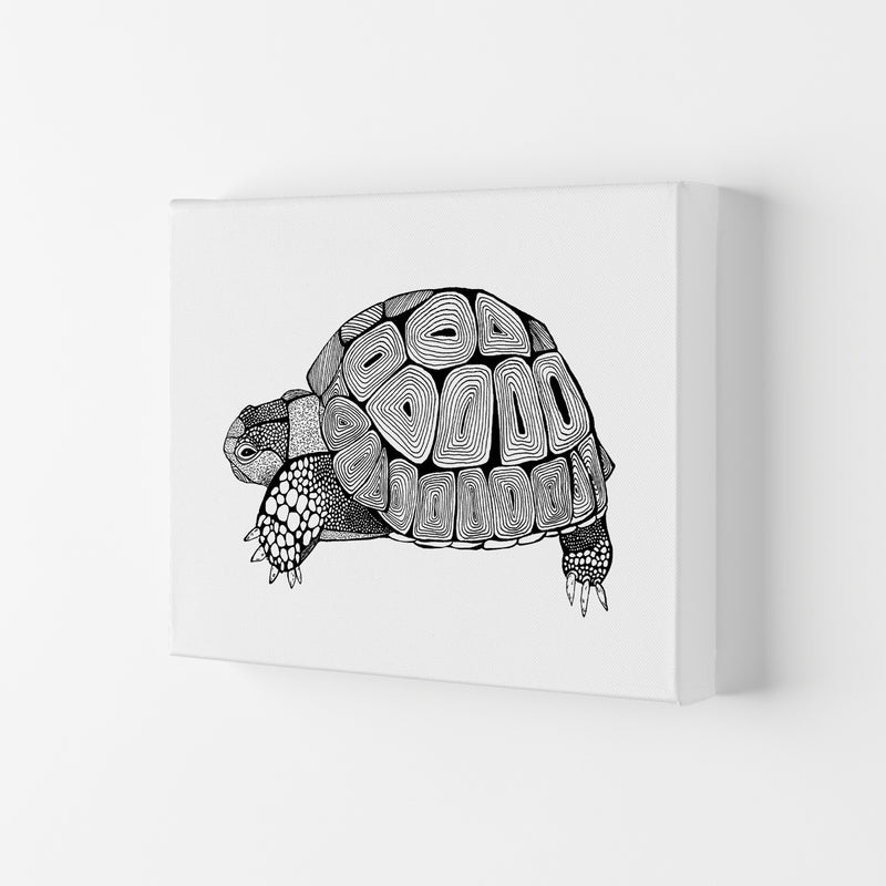Tortoise Art Print by Carissa Tanton Canvas