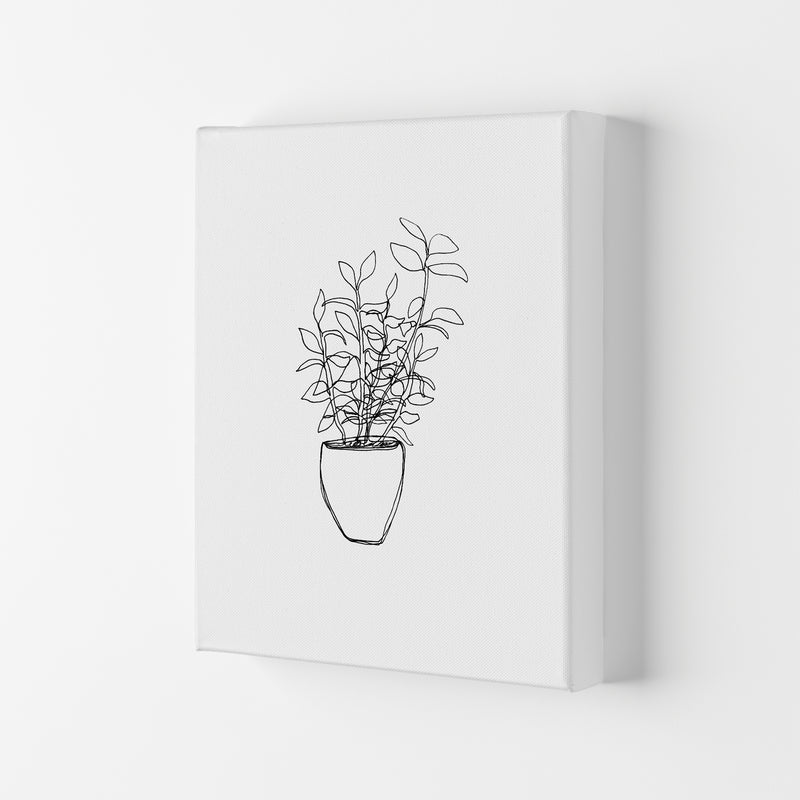 Tea Plant Art Print by Carissa Tanton Canvas