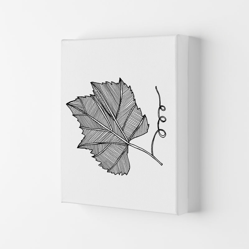 Vine Leaf Art Print by Carissa Tanton Canvas