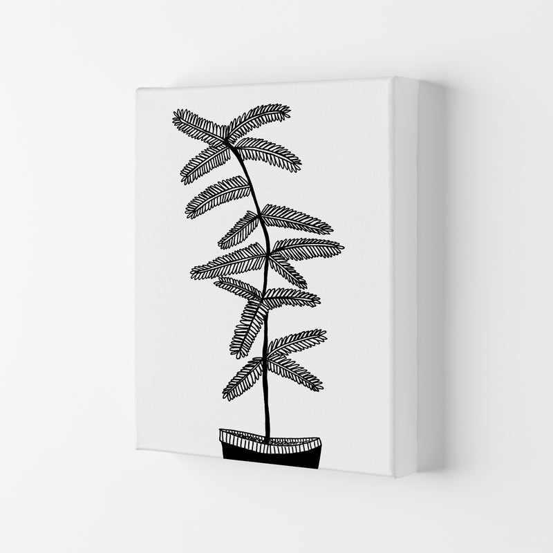 Mimosa Art Print by Carissa Tanton Canvas