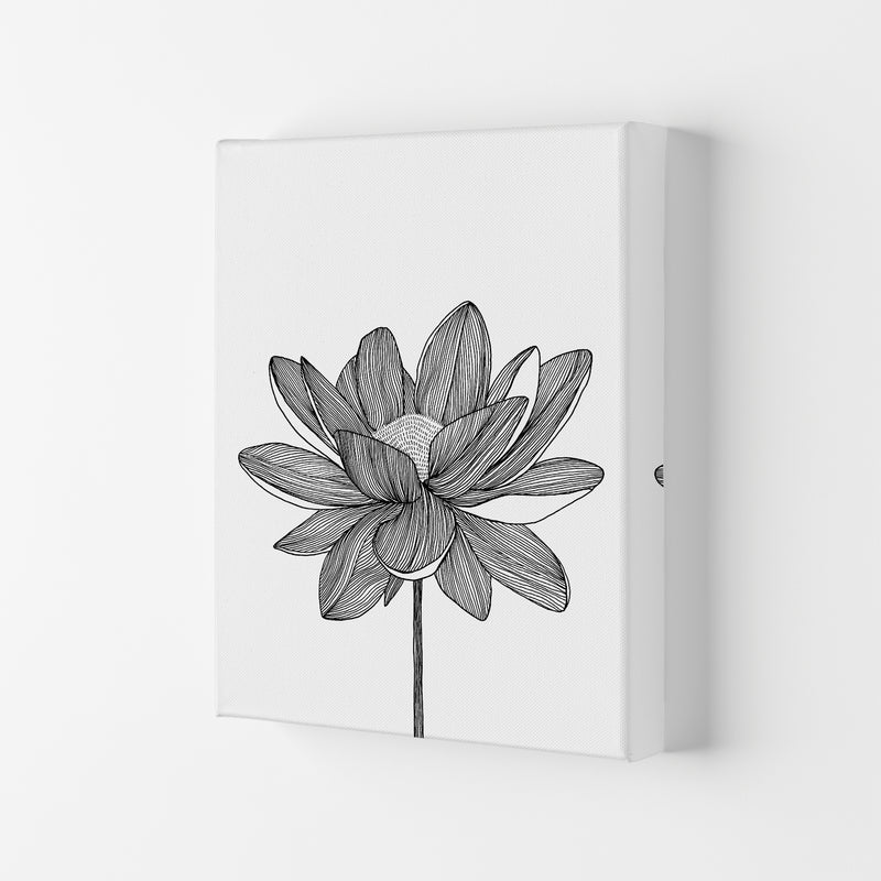 Lotus Art Print by Carissa Tanton Canvas
