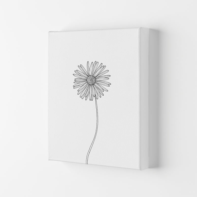 Daisy Art Print by Carissa Tanton Canvas