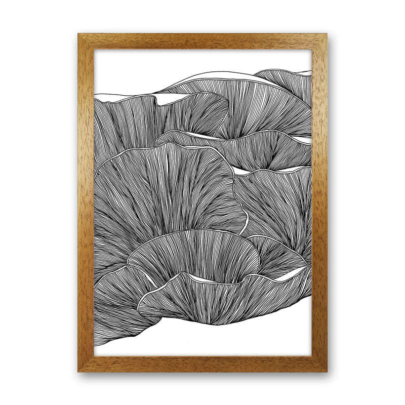 Oyster Mushrooms BW Art Print by Carissa Tanton Oak Grain