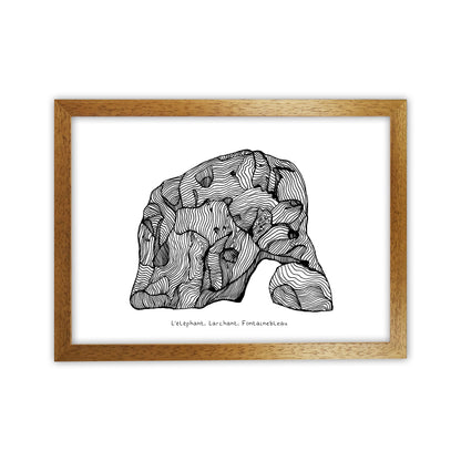 Font Elephant Art Print by Carissa Tanton Oak Grain