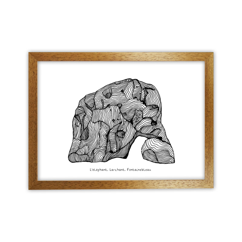 Font Elephant Art Print by Carissa Tanton Oak Grain