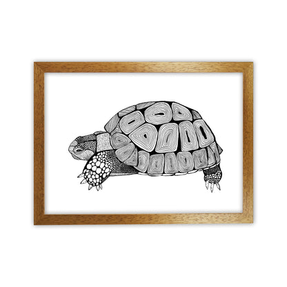 Tortoise Art Print by Carissa Tanton Oak Grain