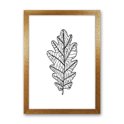 Oak Leaf Art Print by Carissa Tanton Oak Grain