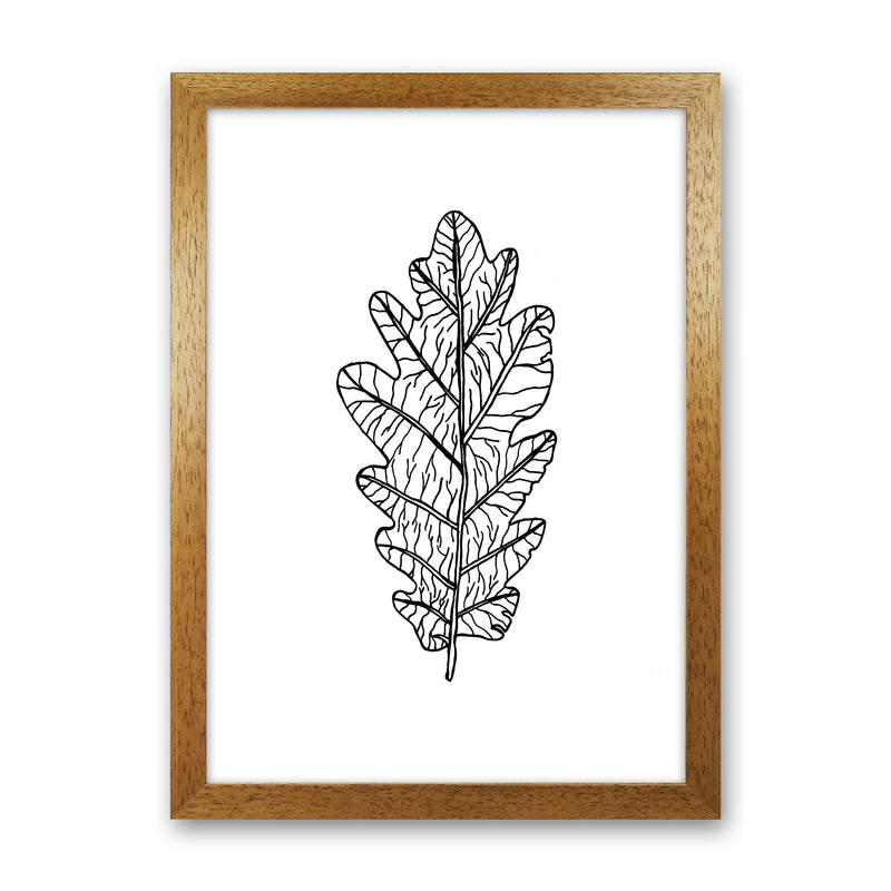 Oak Leaf Art Print by Carissa Tanton Oak Grain