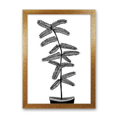 Mimosa Art Print by Carissa Tanton Oak Grain