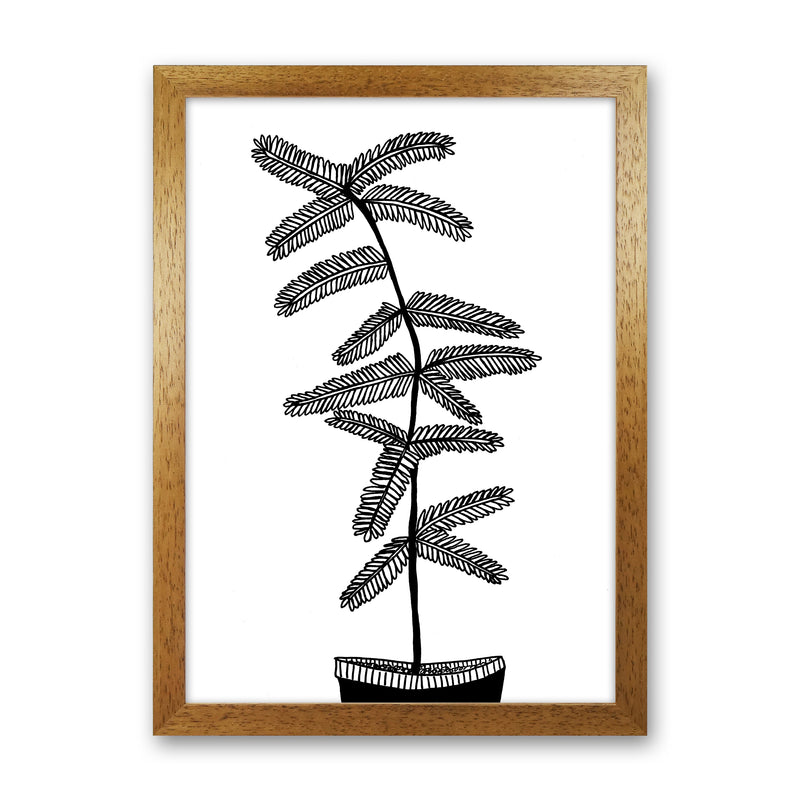 Mimosa Art Print by Carissa Tanton Oak Grain